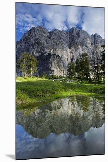 Mount Velika Mojstrovka (2,056M) Reflected in a Pool, Viewed from Sleme, Triglav Np, Slovenia-Zupanc-Mounted Photographic Print