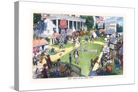 Mount Vernon - the First Summer Capital-Harry Grant Dart-Stretched Canvas
