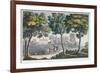 Mount Vernon, Virginia, Home of George Washington, C.1820-Paolo Fumagalli-Framed Giclee Print