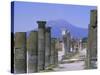 Mount Vesuvius Seen from the Ruins of Pompeii, Campania, Italy-Anthony Waltham-Stretched Canvas