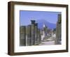 Mount Vesuvius Seen from the Ruins of Pompeii, Campania, Italy-Anthony Waltham-Framed Photographic Print
