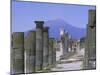 Mount Vesuvius Seen from the Ruins of Pompeii, Campania, Italy-Anthony Waltham-Mounted Photographic Print