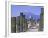 Mount Vesuvius Seen from the Ruins of Pompeii, Campania, Italy-Anthony Waltham-Framed Photographic Print