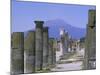 Mount Vesuvius Seen from the Ruins of Pompeii, Campania, Italy-Anthony Waltham-Mounted Photographic Print