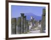 Mount Vesuvius Seen from the Ruins of Pompeii, Campania, Italy-Anthony Waltham-Framed Photographic Print