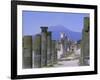 Mount Vesuvius Seen from the Ruins of Pompeii, Campania, Italy-Anthony Waltham-Framed Photographic Print