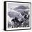 Mount Washington United States of America-null-Framed Stretched Canvas