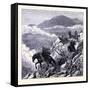 Mount Washington United States of America-null-Framed Stretched Canvas