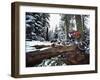 Mount Watkins California, USA-null-Framed Premium Photographic Print