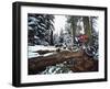 Mount Watkins California, USA-null-Framed Premium Photographic Print