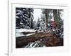 Mount Watkins California, USA-null-Framed Photographic Print