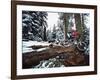 Mount Watkins California, USA-null-Framed Photographic Print