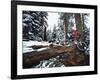 Mount Watkins California, USA-null-Framed Photographic Print