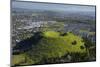 Mount Wellington Domain, Auckland, North Island, New Zealand-David Wall-Mounted Photographic Print