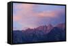 Mount Whitney Glows with Soft Light in an Early Morning in Lone Pine, California-Brett Holman-Framed Stretched Canvas