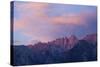 Mount Whitney Glows with Soft Light in an Early Morning in Lone Pine, California-Brett Holman-Stretched Canvas