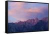 Mount Whitney Glows with Soft Light in an Early Morning in Lone Pine, California-Brett Holman-Framed Stretched Canvas