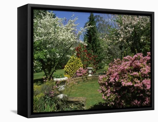 Mount Wilson, New South Wales, Australia-null-Framed Stretched Canvas