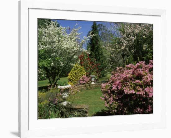 Mount Wilson, New South Wales, Australia-null-Framed Photographic Print