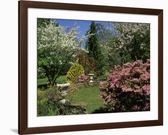 Mount Wilson, New South Wales, Australia-null-Framed Photographic Print