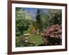 Mount Wilson, New South Wales, Australia-null-Framed Photographic Print