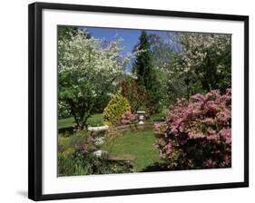 Mount Wilson, New South Wales, Australia-null-Framed Photographic Print
