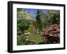 Mount Wilson, New South Wales, Australia-null-Framed Photographic Print