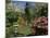 Mount Wilson, New South Wales, Australia-null-Mounted Photographic Print