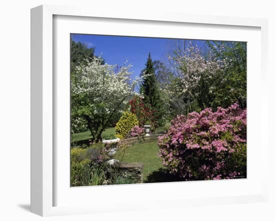 Mount Wilson, New South Wales, Australia-null-Framed Photographic Print