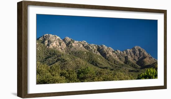 Mount Wrightson from Madera Canyon, Arizona, USA-null-Framed Photographic Print