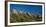 Mount Wrightson from Madera Canyon, Arizona, USA-null-Framed Photographic Print