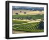 Mountadam Vineyard Winery on High Eden Road, Barossa Valley, Australia-Janis Miglavs-Framed Photographic Print