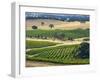 Mountadam Vineyard Winery on High Eden Road, Barossa Valley, Australia-Janis Miglavs-Framed Photographic Print