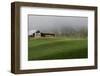 Mountain Air-Danny Head-Framed Photographic Print