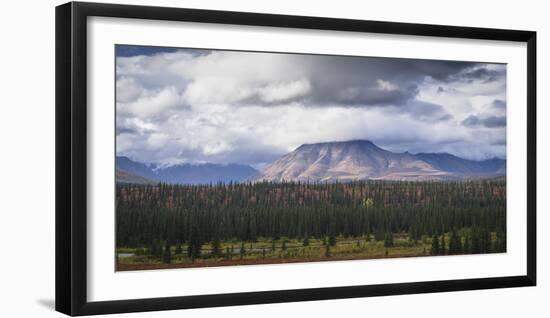 Mountain and forest landscape in Denali National Park, Alaska, United States of America, North Amer-JIA JIAHE-Framed Photographic Print