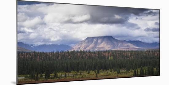 Mountain and forest landscape in Denali National Park, Alaska, United States of America, North Amer-JIA JIAHE-Mounted Photographic Print