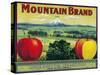 Mountain Apple Crate Label - Hood River, OR-Lantern Press-Stretched Canvas