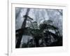 Mountain Ash Trees and Tree Ferns in Fog, Dandenong Ranges, Victoria, Australia-Schlenker Jochen-Framed Photographic Print