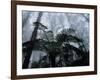 Mountain Ash Trees and Tree Ferns in Fog, Dandenong Ranges, Victoria, Australia-Schlenker Jochen-Framed Photographic Print