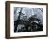 Mountain Ash Trees and Tree Ferns in Fog, Dandenong Ranges, Victoria, Australia-Schlenker Jochen-Framed Photographic Print