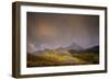 Mountain Aspens-Dan Ballard-Framed Photographic Print