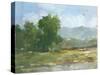 Mountain Backdrop II-Ethan Harper-Stretched Canvas