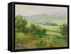 Mountain Backdrop IV-Ethan Harper-Framed Stretched Canvas