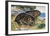 Mountain Beaver (Aplodontia Rufa), Aplodontiidae-null-Framed Giclee Print