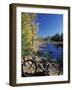 Mountain Bike at Beaver Pond in Pawtuckaway State Park, New Hampshire, USA-Jerry & Marcy Monkman-Framed Photographic Print