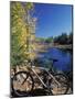 Mountain Bike at Beaver Pond in Pawtuckaway State Park, New Hampshire, USA-Jerry & Marcy Monkman-Mounted Photographic Print