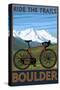 Mountain Bike - Boulder, Colorado, c.2009-Lantern Press-Stretched Canvas