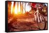 Mountain Bike Cyclist Riding Single Track at Sunrise Healthy Lifestyle Active Athlete Doing Sport-warrengoldswain-Framed Stretched Canvas