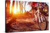 Mountain Bike Cyclist Riding Single Track at Sunrise Healthy Lifestyle Active Athlete Doing Sport-warrengoldswain-Stretched Canvas