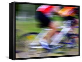 Mountain Bike Race, Bannockburn, near Cromwell, Central Otago, South Island, New Zealand-David Wall-Framed Stretched Canvas